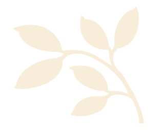 glowleaves Glow leaves Seattle WA