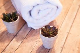 towel and succulents