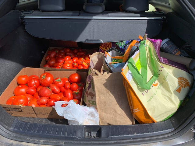 tomatoes in trunk of car