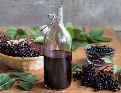 Prepare Your Immune System for Cold & Flu Season