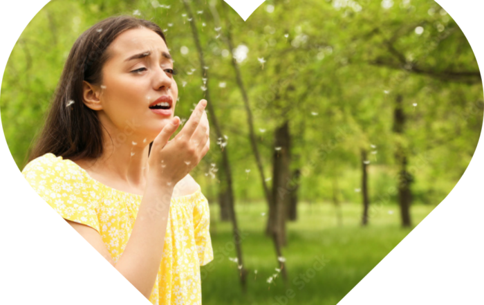 Heart with spring allergies sneeze inside