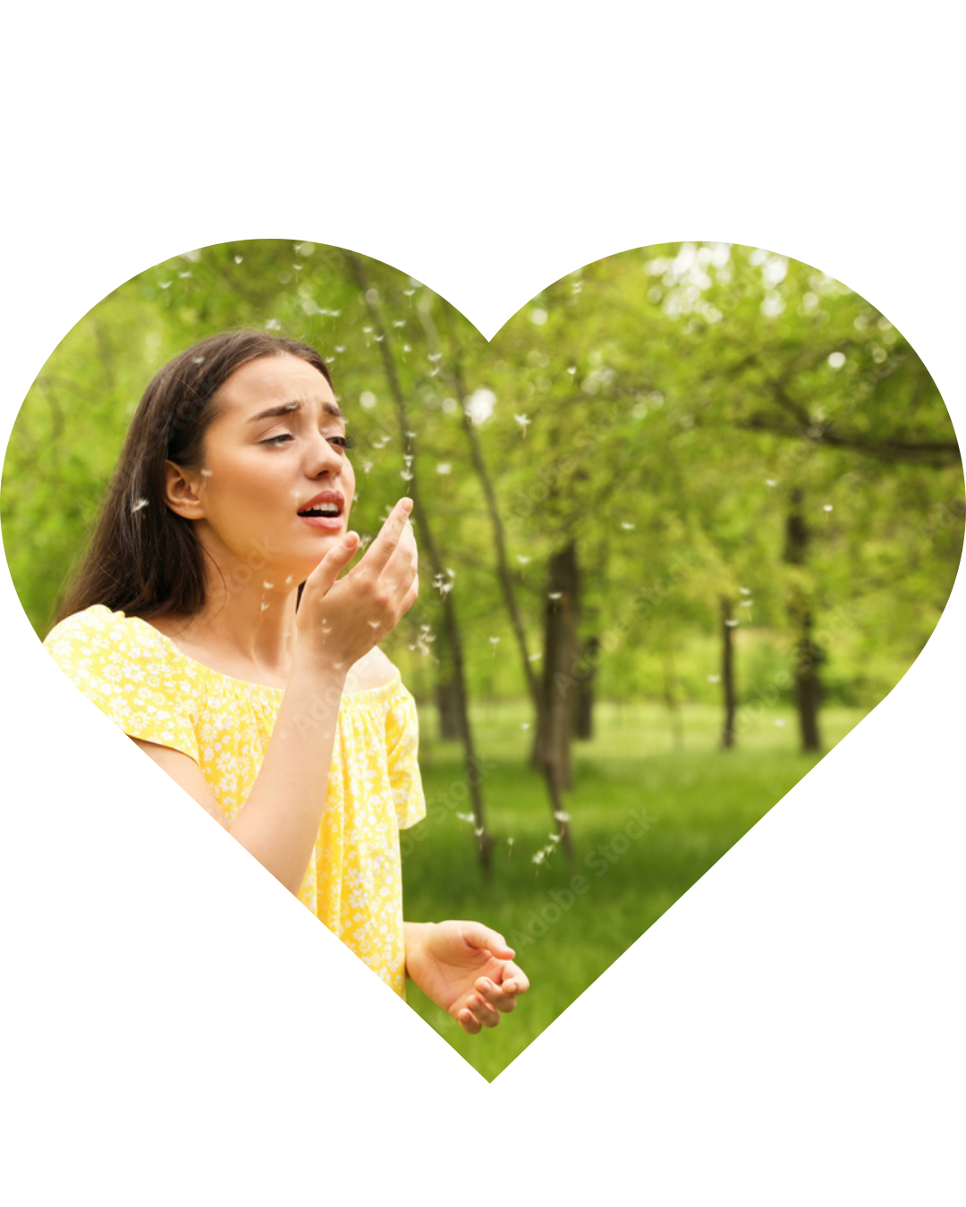 Heart with spring allergies sneeze inside