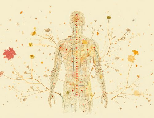 Seasonal Alignment: Finding Grounding, Receiving Support, and Nourishing What Sustains Us